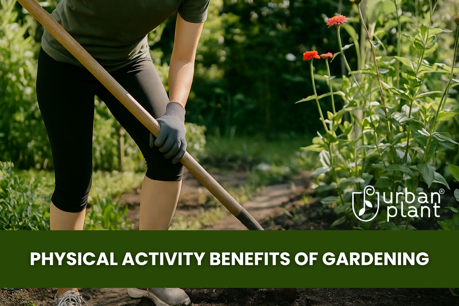 Urban Plant – A woman wearing gloves using a hoe in a lush garden, demonstrating the physical activity benefits of gardening for health, strength, and outdoor fitness.